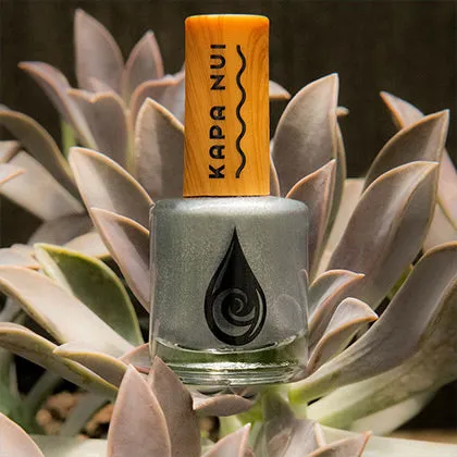 Aholehole Starter Set - Non Toxic Nail Polish