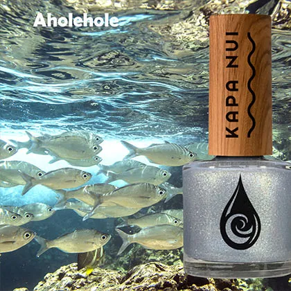 Aholehole Starter Set - Non Toxic Nail Polish