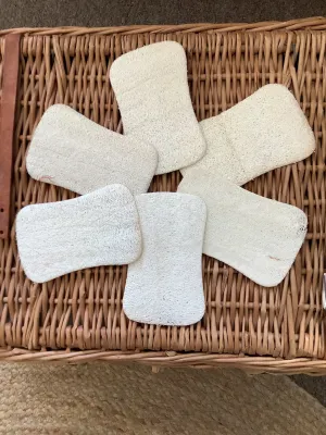 Creating Smaller Footprints Natural Luffa Sponge