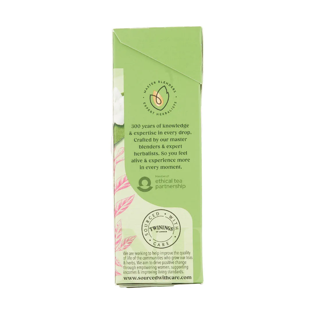 Green Tea & Jasmine - 20 Tea Bags