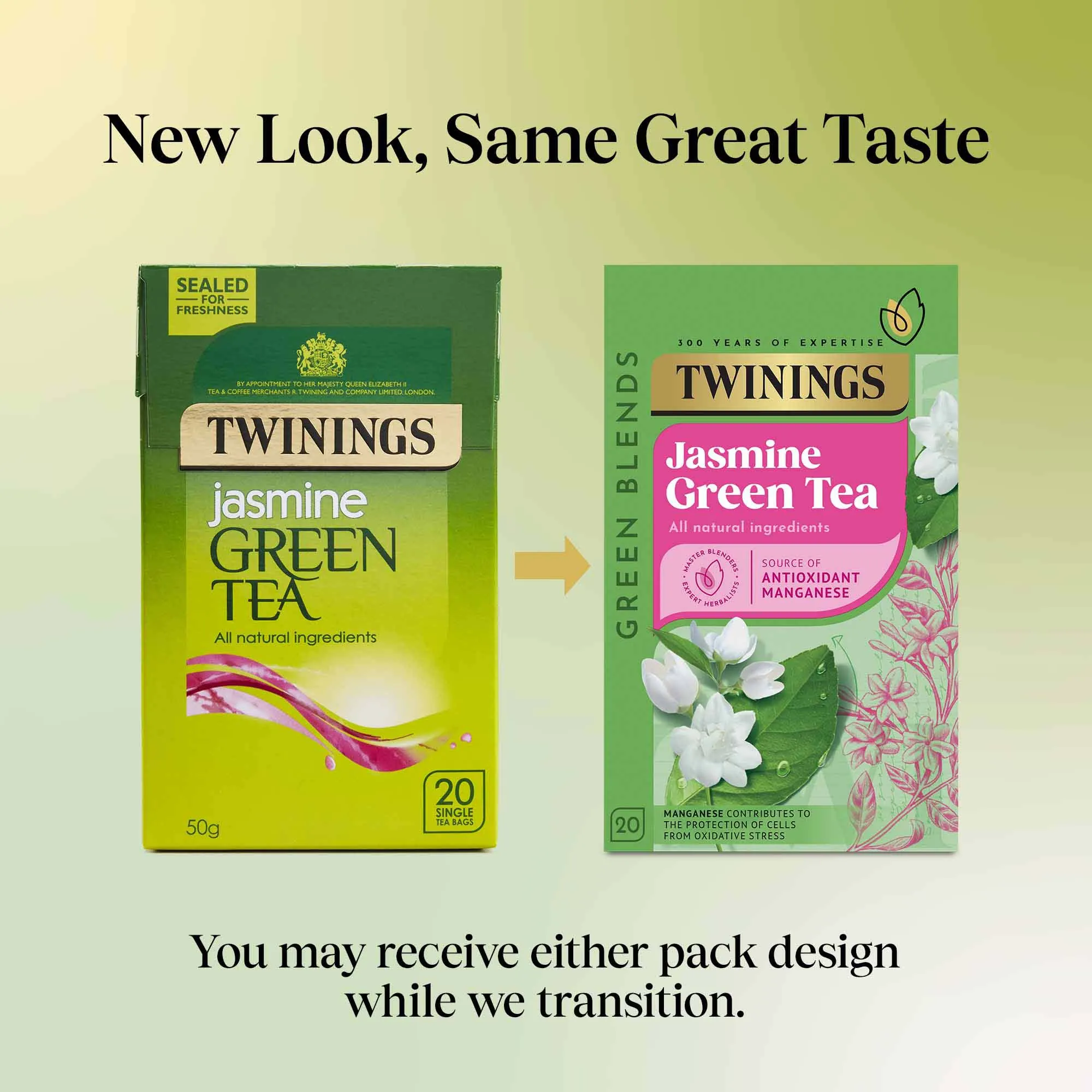 Green Tea & Jasmine - 20 Tea Bags