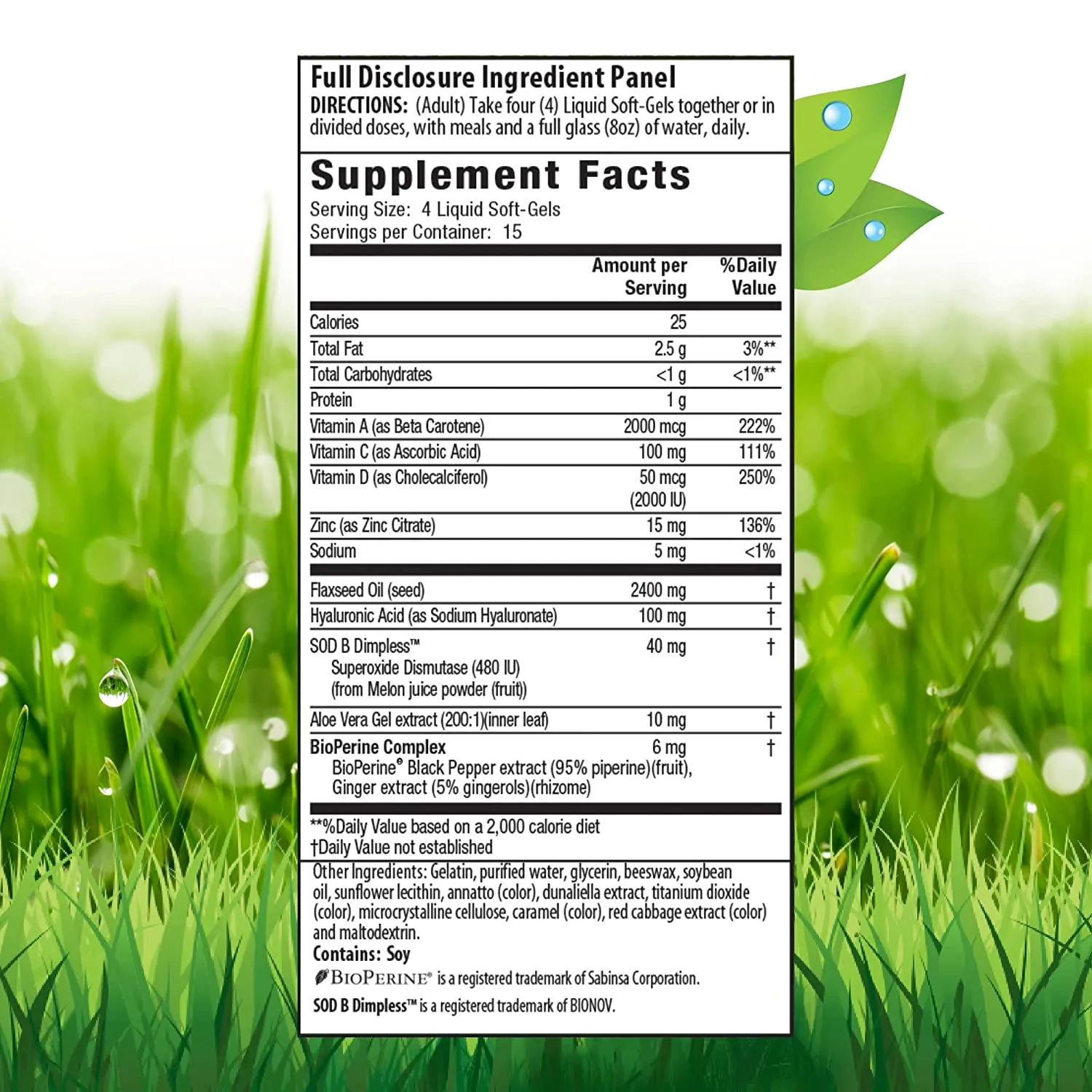 Irwin Naturals Cellulite Reduction - 60 Liquid Soft-Gels - 15 Servings