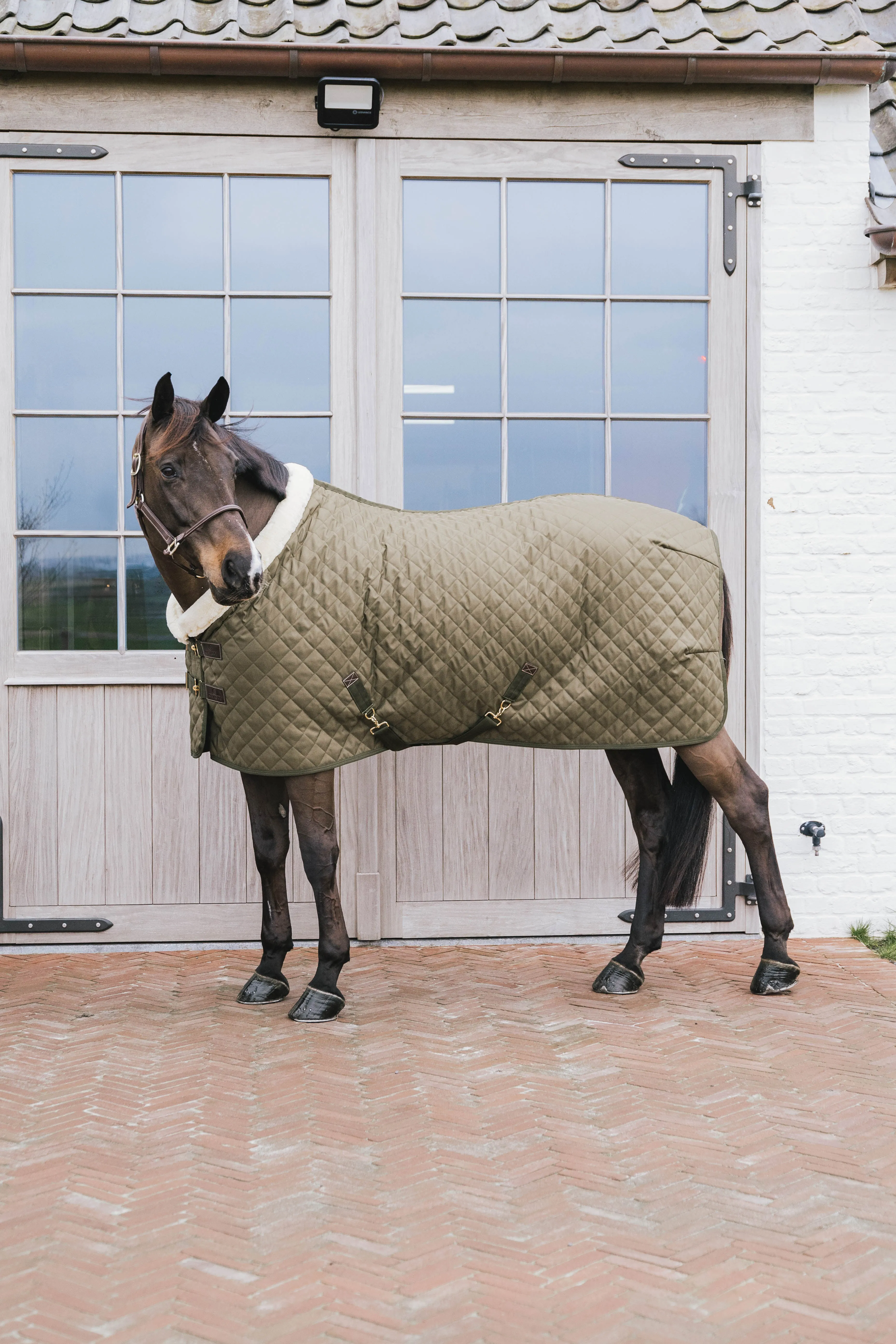 Kentucky Horsewear Show Rug Khaki