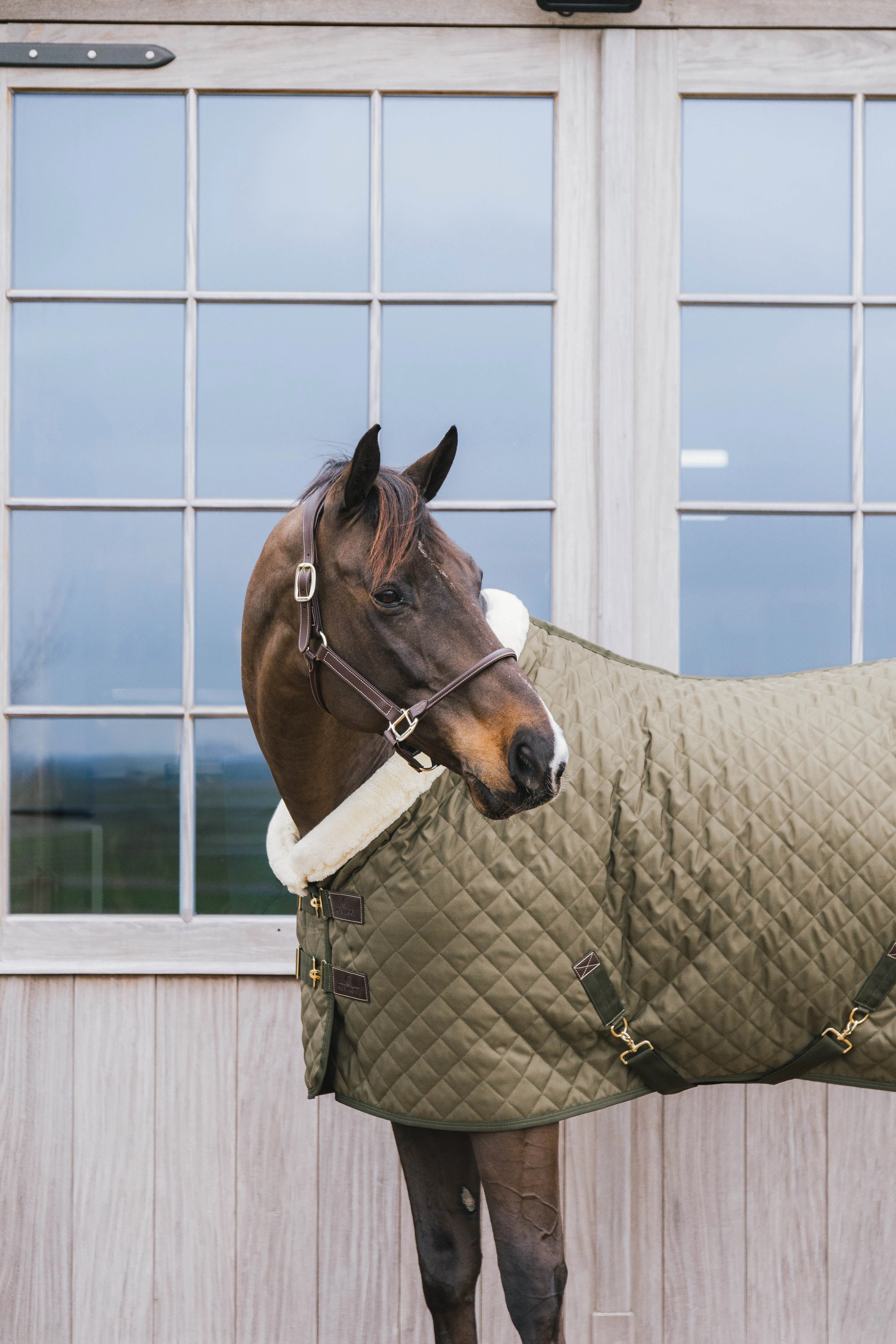 Kentucky Horsewear Show Rug Khaki