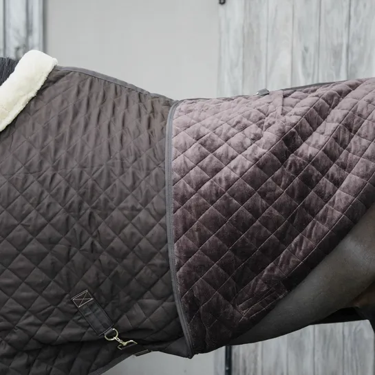 Kentucky Show Rug – Brown