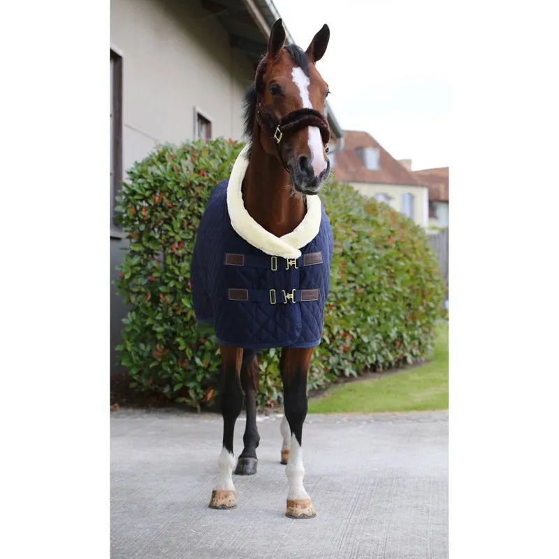 Kentucky Show Rug – Navy