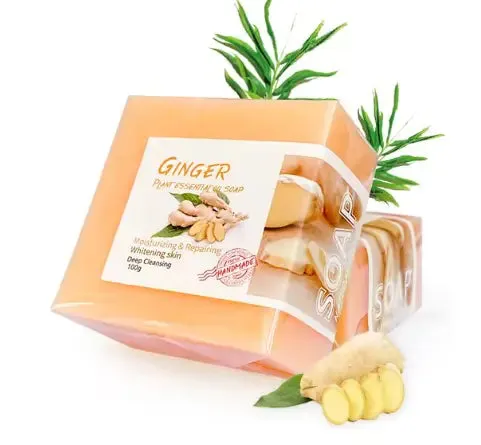 Organic Coconut Honey Infused Body Soap