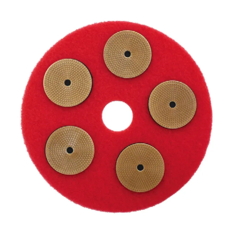 Pioneer Eclipse 5" PowerPolish™ Decorative Floor Polishing Discs - Kit of 10 Discs of the Same Grit